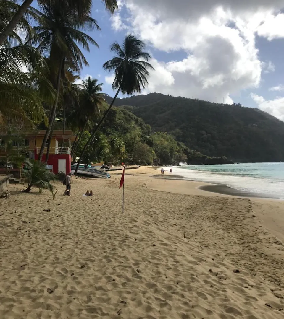 ** Lejlighedshotel Sealevel Guesthouse Castara Trinidad & Tobago